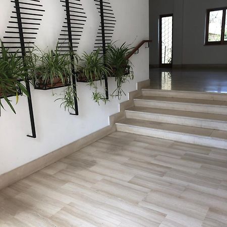 סורנטו Appartamento Le Zagare מראה חיצוני תמונה